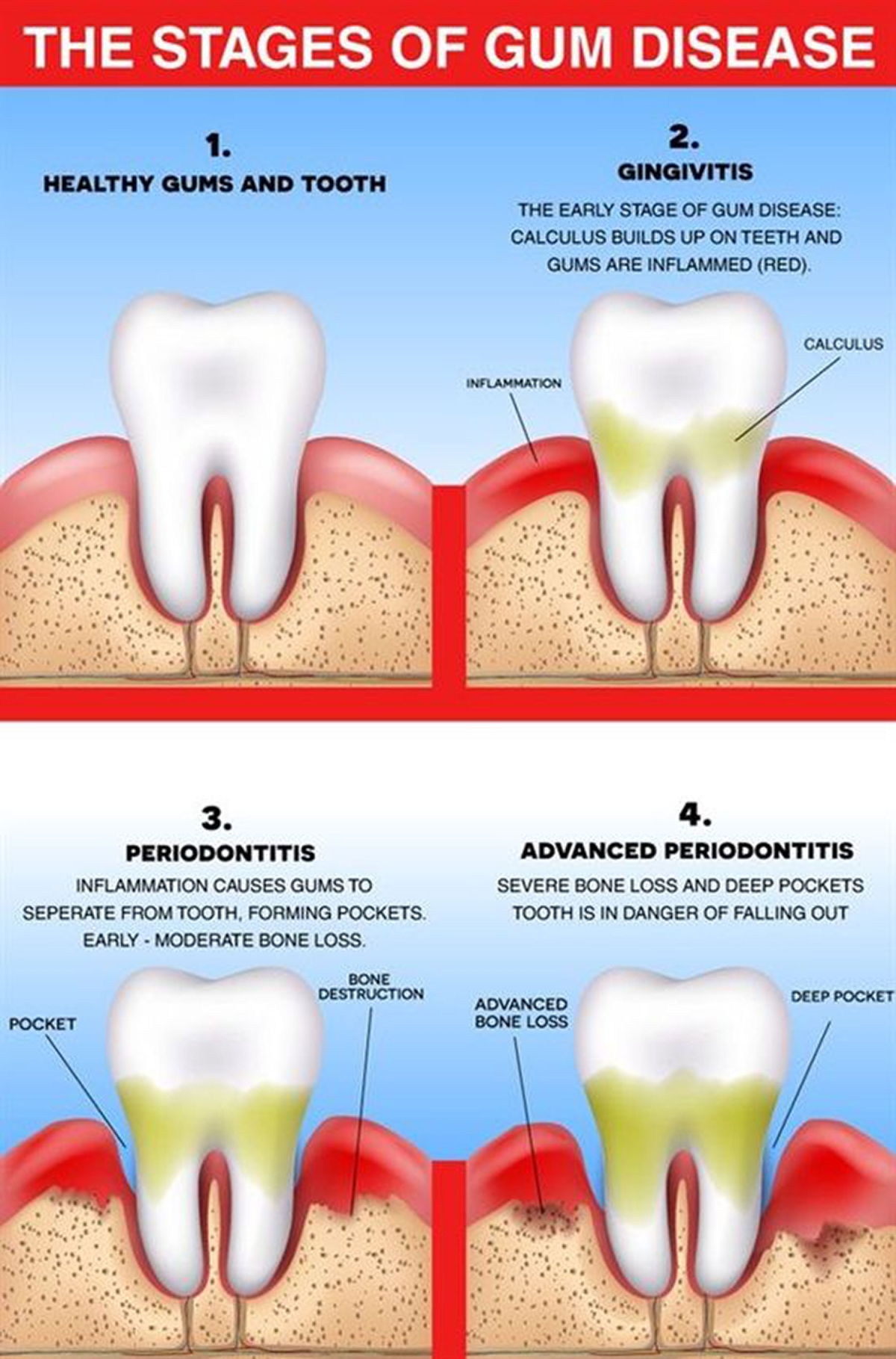 How to Keep Gums Healthy with Oral Care | Kim Okamura DDS